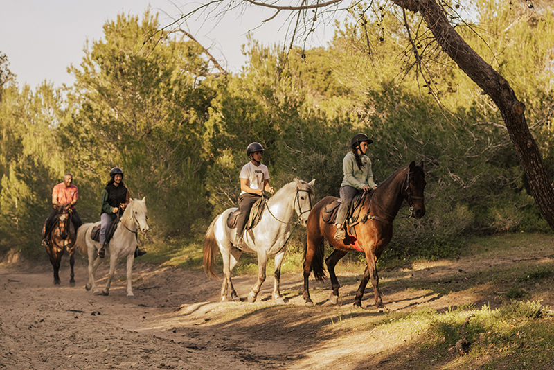 montando a caballo en el bosque