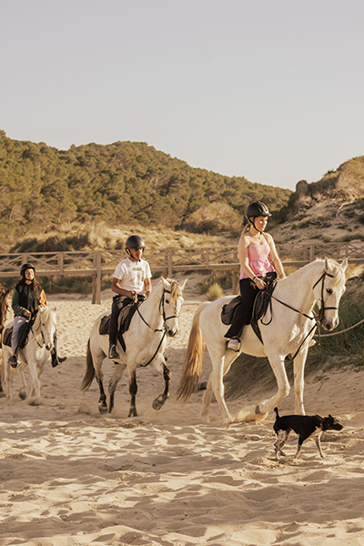 Reiten auf einem Pferd am Strand